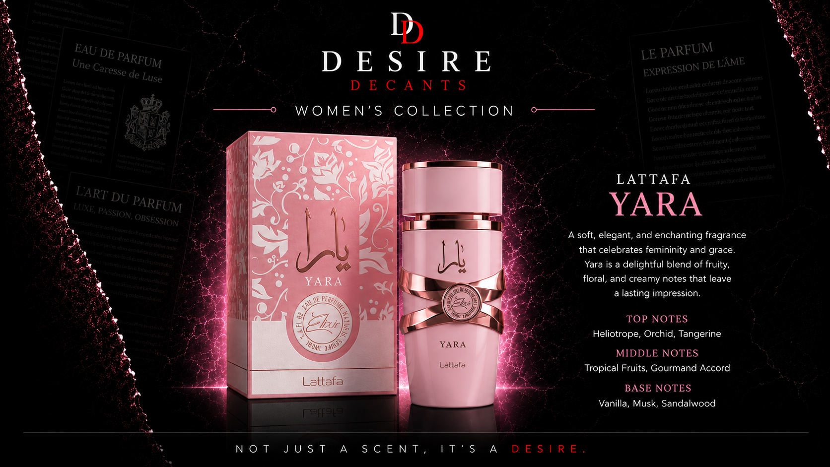Women's Collection – Lattafa Yara
